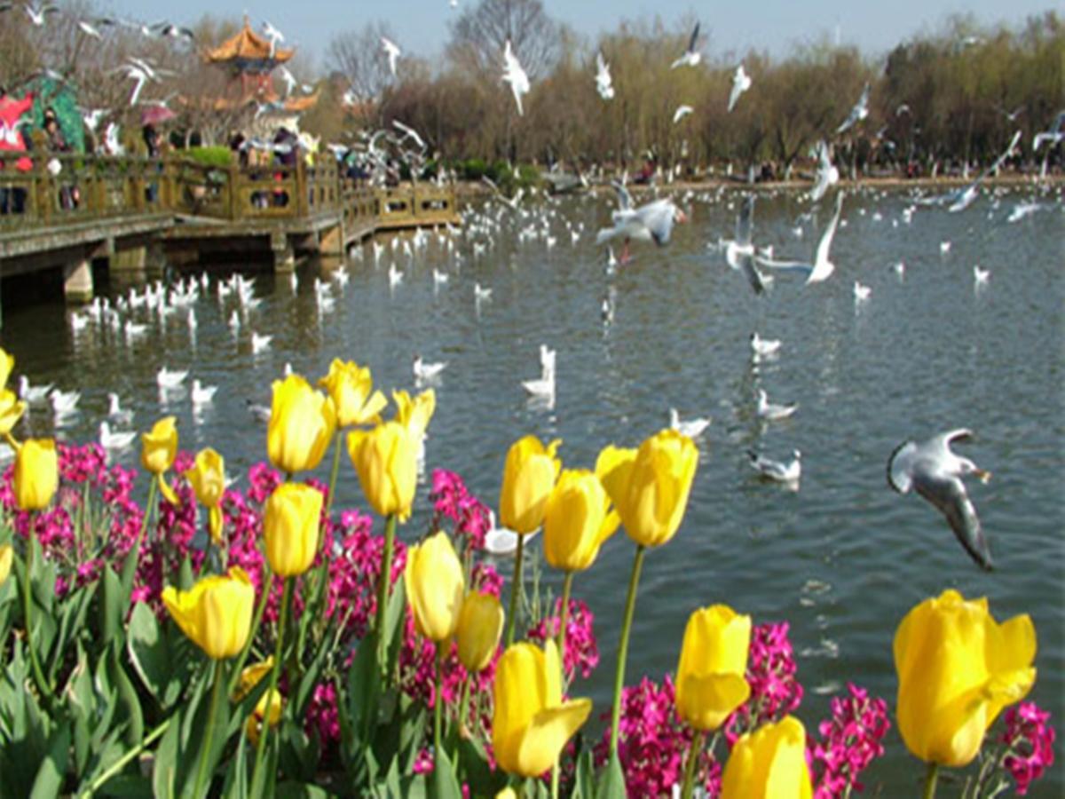 Jinjiang Inn Kunming Changshui Airport Guandu Экстерьер фото